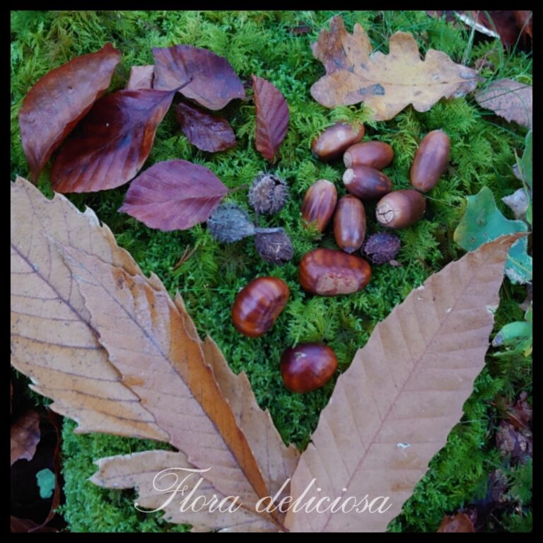 Cueillettes d'automne, Flora deliciosa