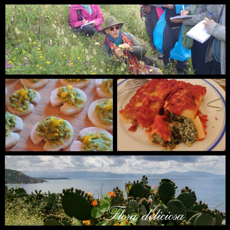 Délices botaniques en Corse avec François Couplan. Flora deliciosa