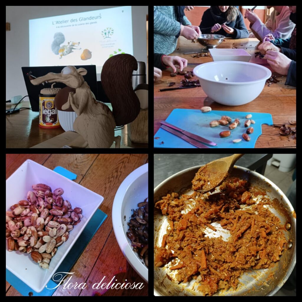 Atelier des glandeurs - cours de cuisine des glands par Flora deliciosa